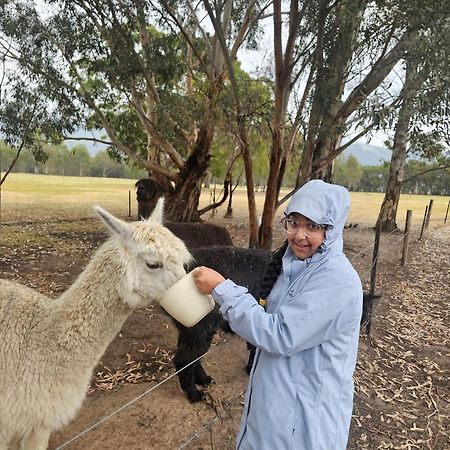 Halls Haven Holiday Units Halls Gap Bagian luar foto
