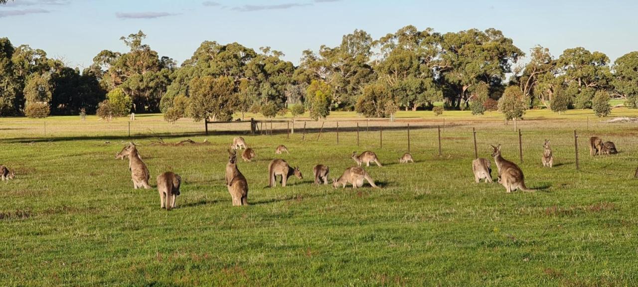 Halls Haven Holiday Units Halls Gap Bagian luar foto
