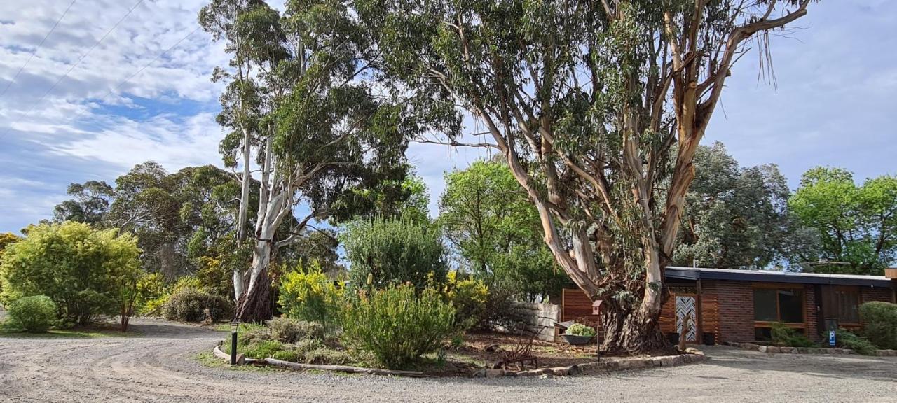 Halls Haven Holiday Units Halls Gap Bagian luar foto
