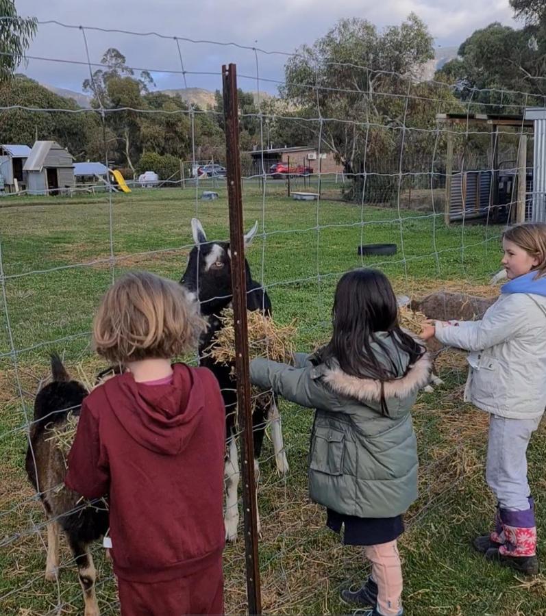 Halls Haven Holiday Units Halls Gap Bagian luar foto