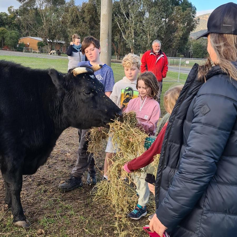 Halls Haven Holiday Units Halls Gap Bagian luar foto