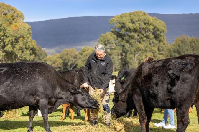 Halls Haven Holiday Units Halls Gap Bagian luar foto